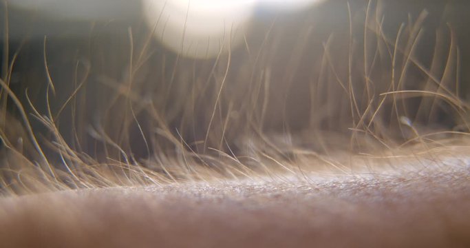Arm hair rising, emotional feeling, 4k Prores HQ