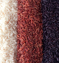 closeup rice mix