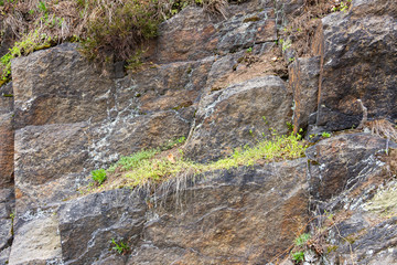 Obraz premium Sheer wall cliff texture