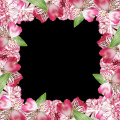 Beautiful floral background of alstroemeria and carnations. Isolated