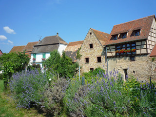 Fototapeta na wymiar Bergheim en Alsace