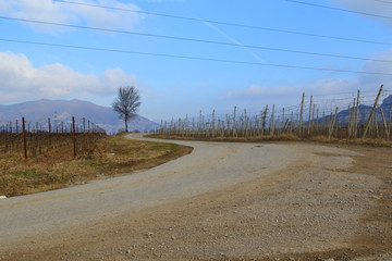 Landscape containing a large dirt road