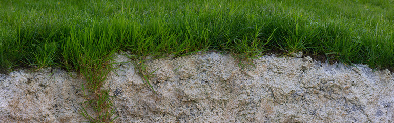 seamless cross section of grass and cement