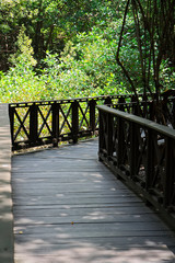 Naklejka na ściany i meble Wooden bridge inside tropical mangrove forest