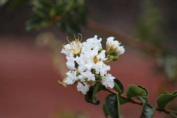 Naturaleza