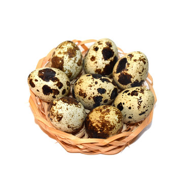 Stock photo of quail eggs isolated on a white background