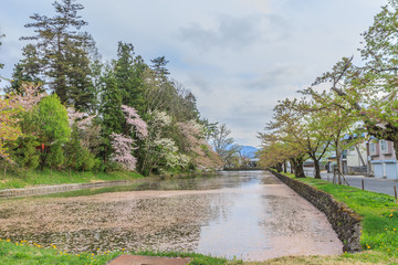 Fototapeta na wymiar 春の米沢城跡の風景