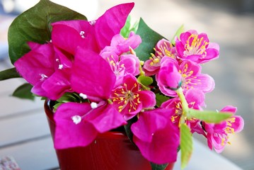 Bouquet de bougainvilliers roses