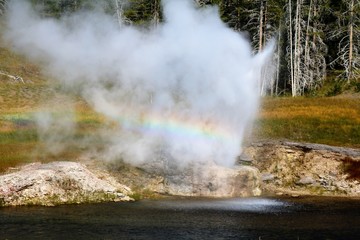 Yellowstone