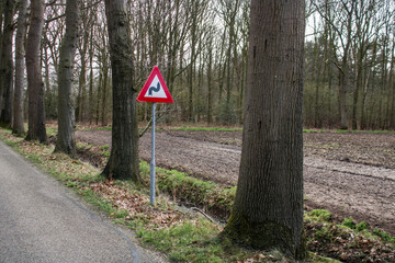 Traffic sign S-bend right with trees and a forest in the Netherlands, Europe