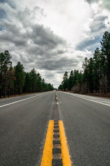 Fototapeta premium highway to Sedona