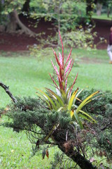 Naturaleza