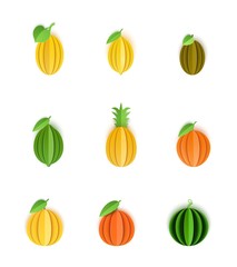 Set of tropical fruits in paper cut style. Whole citrus orange, tangerine, pineapple, lime, lemon, grapefruit, melon, watermelon, kiwi with leaf in origami art. Vector card illustration.