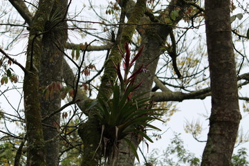 Naturaleza
