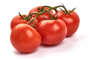 Tomato branch. Ripe fresh tomatoes, close-up, isolated on white background