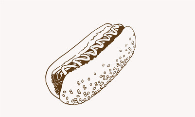 Vintage sketch of hot dog, graphical vector illustration, fast food