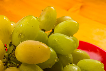 large brush of green grapes in a red ceramic plate on a wooden background