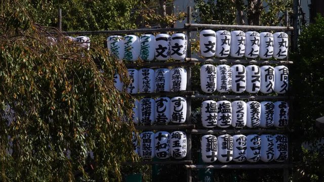 Group of aligned white paper lanterns with black japanese language characters surrounded by green plants in Asakusa, Tokyo, Japan at daytime