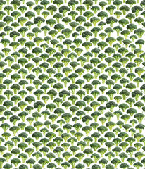 Seamless pattern of various fresh broccoli isolated on white
