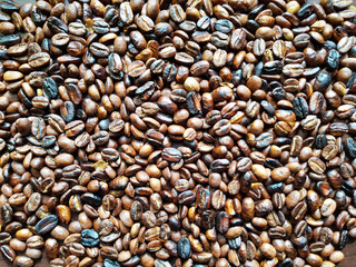 coffee grains