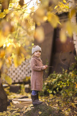 golden autumn and child play with leaves in park