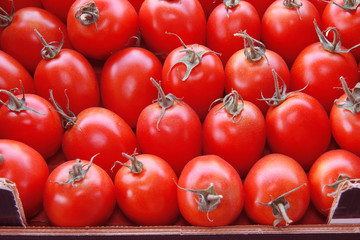 fresh tomatoes on market
