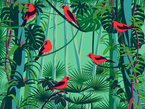 Scarlet Tanagers birds in the thickets of the flowering rainforest.