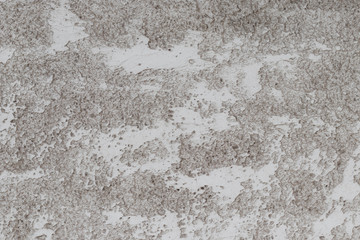 Textured cement wall background.
