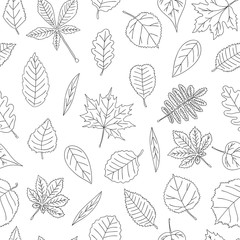 Vector seamless pattern of black and white leaves. Autumn repeat background with isolated monochrome birch, maple, oak, rowan, chestnut, hazel, linden, alder, aspen, elm, poplar  leaves