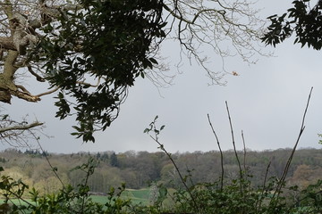 Rolling green fields of Ickworth, in the Suffolk countryside