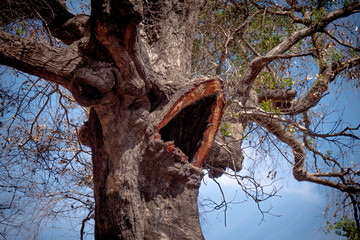 Malibu Creek State Park in California - travel photography
