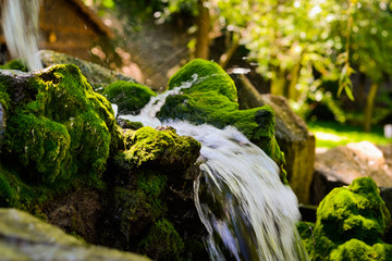 waterfall in forest
