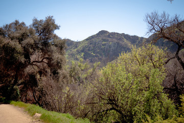 Fototapeta na wymiar Malibu Creek State Park in California - travel photography