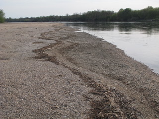 Les bordure de La loire après s'être asséché  
