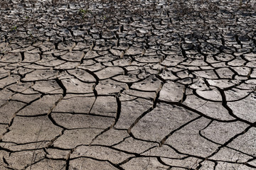 global warming equals: thirst and drought,drought or soil breaking,
