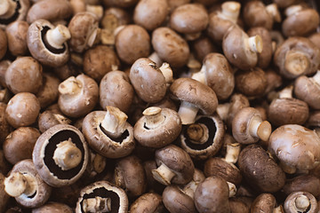 Close up of fresh fruit and vegetables at a market in Melbourne Australia - swiss brown mushrooms