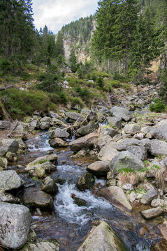 Beautiful nature place called Labska bouda, amazing scenery, nature in early spring, wild mountain stream
