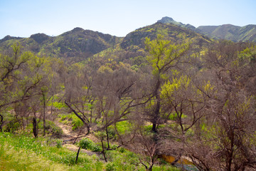 Malibu Creek State Park in California - travel photography