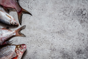 River Fish Background