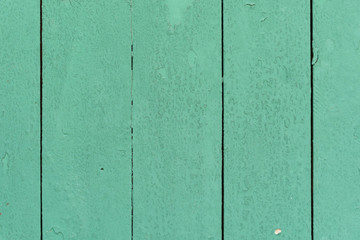 Bois vert texture