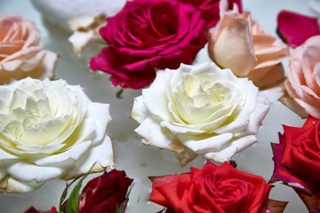 rose blossoms swimming in bowl