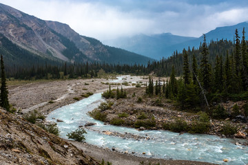 The Bow River weaving it's way through a rocky mountainous landscape, the river carrying the melt water from the Bow Glacier