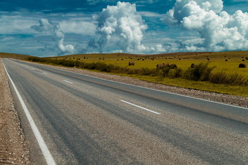 Road to the mountains