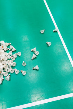 Badminton shuttlecocks
