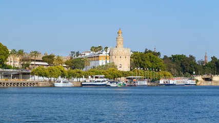 Fototapeta na wymiar Sevilla, waterfront view of the historical architecture