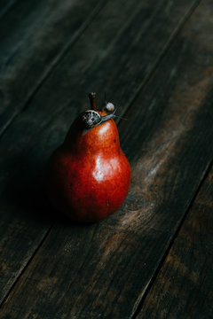 snail on a red pear