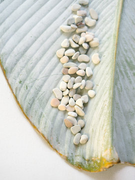 Stones on a palm leaf