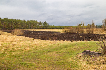 Cultivated soil for sowing grain, spring growing season