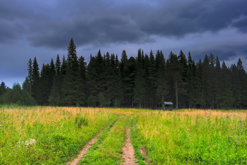 Beautiful forest summer landscape with a blue sky before a thunderstorm.