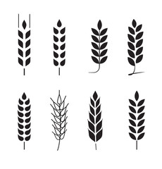 Wheat grains of different shapes set. A set of icons ready to use in your design. Vector icons can be used on different backgrounds. EPS10.